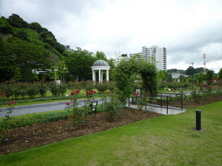 P1030954.JPG