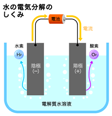 img02-1.gif