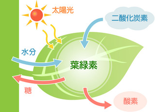 shikumi_img_003.jpg